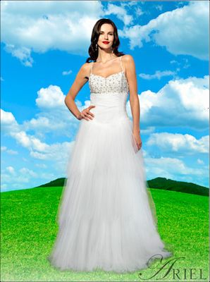 David's bridal hotsell cinderella dress