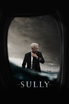 sully_poster