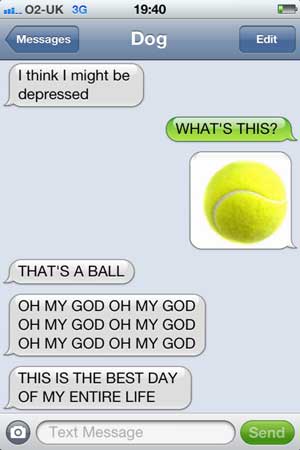 text-from-dog
